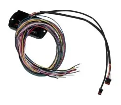 Namz CANbus Controller For Harley Touring 2014-2016 [Open Box]